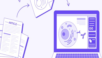 Research Paper Writing Session 2082